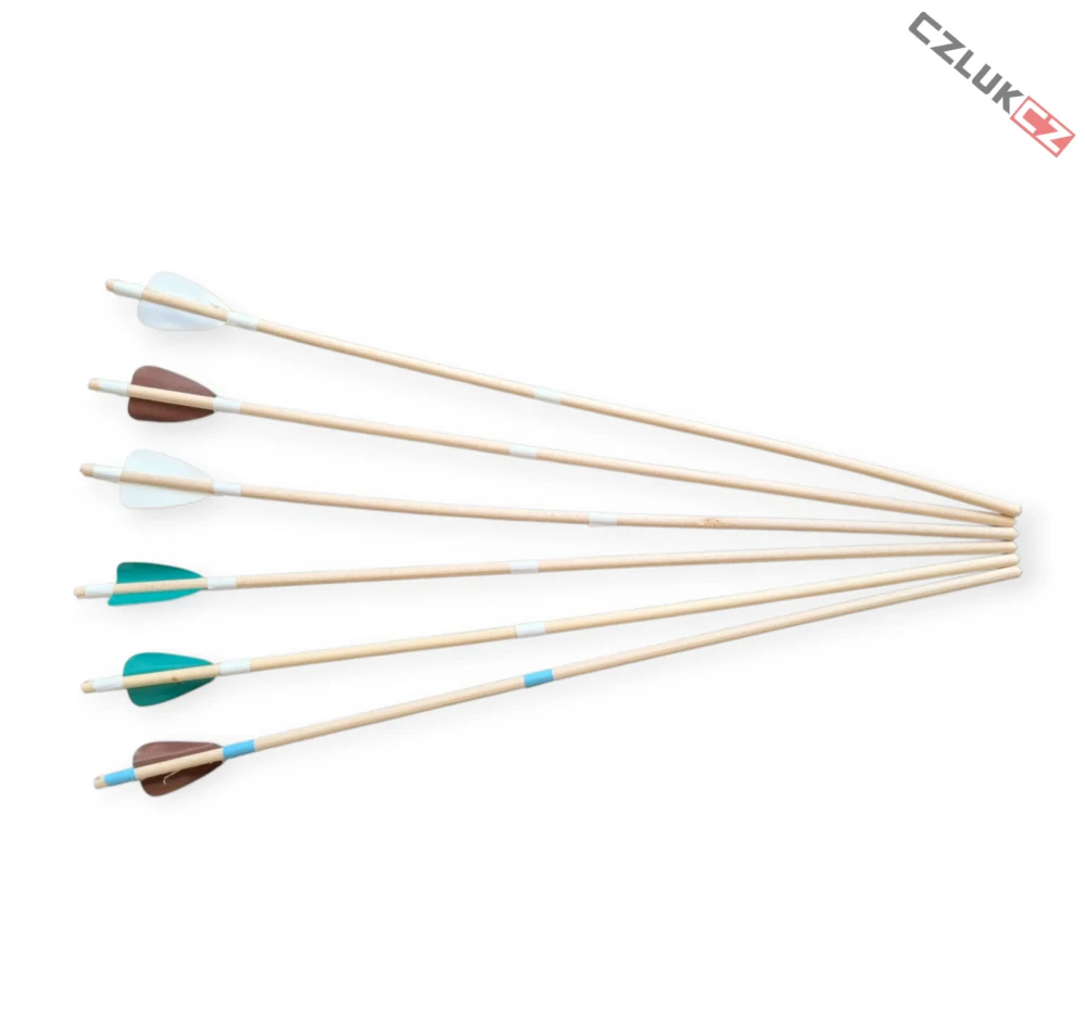 ČistéDřevo Sada dřevěných šípů 6ks