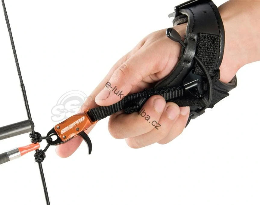 Avalon Classic PRO Buckle Strap