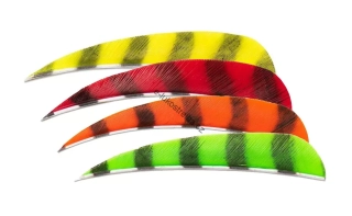 Buck Trail ROUND RW BARRED Feather 4"