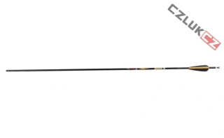 Sanlida Dragon 8 Carbon Arrows ID6.2 12ks